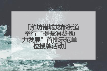 潍坊诸城龙都街道举行“提振消费·助力发展”首批示范单位授牌活动
