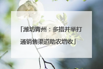 潍坊青州：多措并举打通销售渠道助农增收