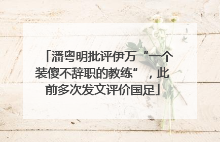 潘粤明批评伊万“一个装傻不辞职的教练”，此前多次发文评价国足