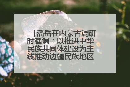 潘岳在内蒙古调研时强调：以推进中华民族共同体建设为主线推动边疆民族地区高质量发展