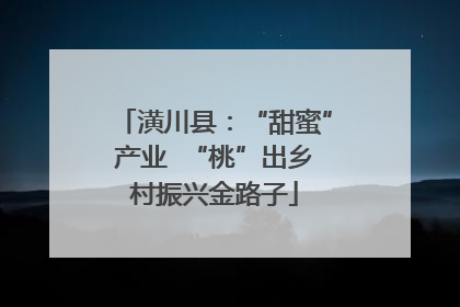 潢川县：“甜蜜”产业  “桃”出乡村振兴金路子