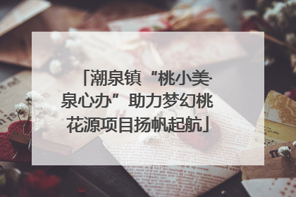 潮泉镇“桃小美·泉心办”助力梦幻桃花源项目扬帆起航