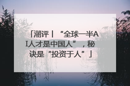 潮评丨“全球一半AI人才是中国人”，秘诀是“投资于人”