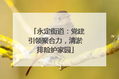 永定街道：党建引领聚合力，清淤排险护家园