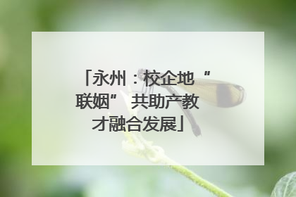 永州：校企地“联姻” 共助产教才融合发展