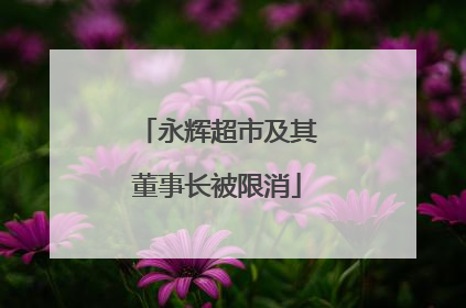 永辉超市及其董事长被限消