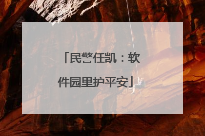 民警任凯：软件园里护平安