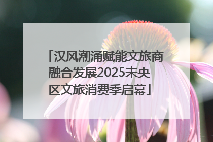 汉风潮涌赋能文旅商融合发展2025未央区文旅消费季启幕