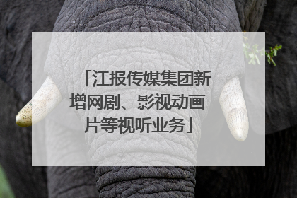 江报传媒集团新增网剧、影视动画片等视听业务
