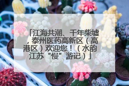 江海共潮、千年柴墟，泰州医药高新区（高港区）欢迎您！（水韵江苏“慢”游记）