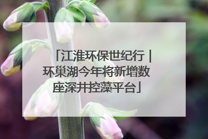 江淮环保世纪行｜环巢湖今年将新增数座深井控藻平台