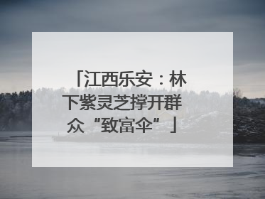 江西乐安：林下紫灵芝撑开群众“致富伞”