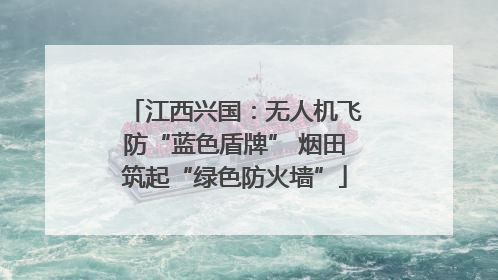 江西兴国：无人机飞防“蓝色盾牌” 烟田筑起“绿色防火墙”