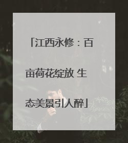 江西永修：百亩荷花绽放 生态美景引人醉