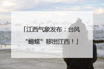江西气象发布：台风“蝴蝶”移出江西！