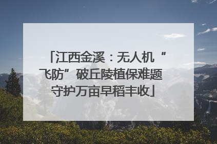 江西金溪：无人机“飞防”破丘陵植保难题 守护万亩早稻丰收