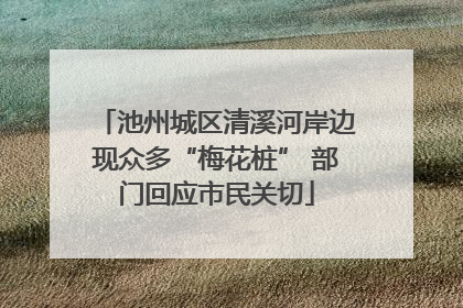 池州城区清溪河岸边现众多“梅花桩” 部门回应市民关切