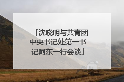沈晓明与共青团中央书记处第一书记阿东一行会谈