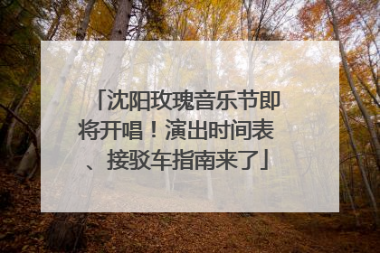 沈阳玫瑰音乐节即将开唱！演出时间表、接驳车指南来了