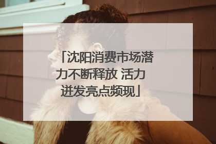 沈阳消费市场潜力不断释放 活力迸发亮点频现