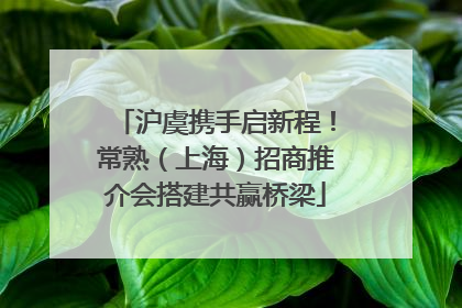 沪虞携手启新程！常熟（上海）招商推介会搭建共赢桥梁
