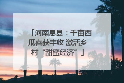 河南息县：千亩西瓜喜获丰收 激活乡村“甜蜜经济”
