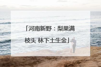 河南新野：梨果满枝头 林下土生金