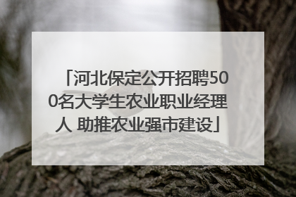 河北保定公开招聘500名大学生农业职业经理人 助推农业强市建设