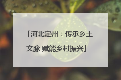 河北定州：传承乡土文脉 赋能乡村振兴