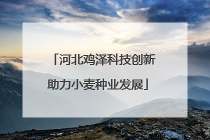 河北鸡泽科技创新助力小麦种业发展