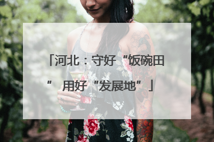 河北：守好“饭碗田” 用好“发展地”