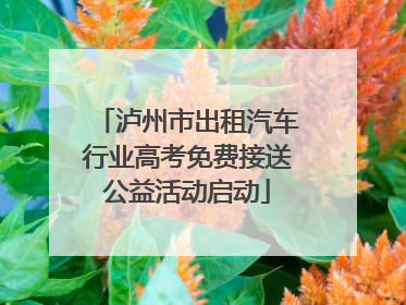 泸州市出租汽车行业高考免费接送公益活动启动
