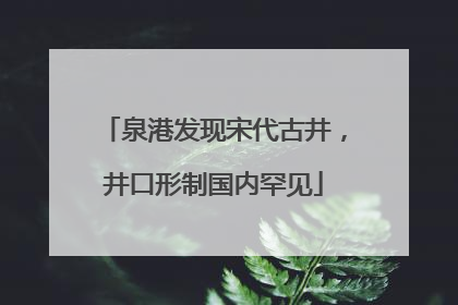 泉港发现宋代古井，井口形制国内罕见