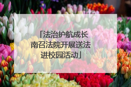 法治护航成长 南召法院开展送法进校园活动
