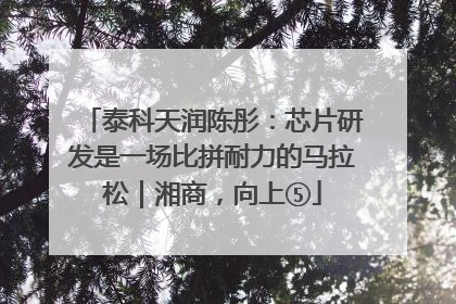 泰科天润陈彤：芯片研发是一场比拼耐力的马拉松｜湘商，向上⑤