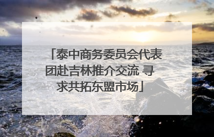 泰中商务委员会代表团赴吉林推介交流 寻求共拓东盟市场