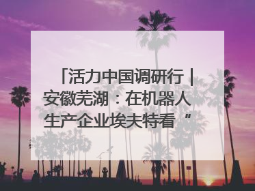 活力中国调研行｜安徽芜湖：在机器人生产企业埃夫特看“中国智造”