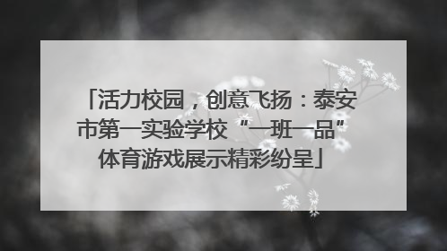 活力校园，创意飞扬：泰安市第一实验学校“一班一品”体育游戏展示精彩纷呈