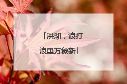 洪湖，浪打浪里万象新