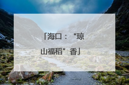 海口：“琼山福稻”香