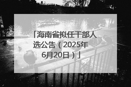 海南省拟任干部人选公告（2025年6月20日）