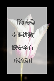 海南稳步推进数据安全有序流动
