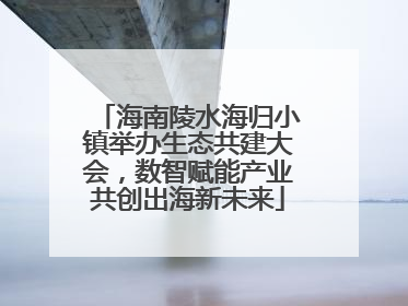 海南陵水海归小镇举办生态共建大会，数智赋能产业共创出海新未来