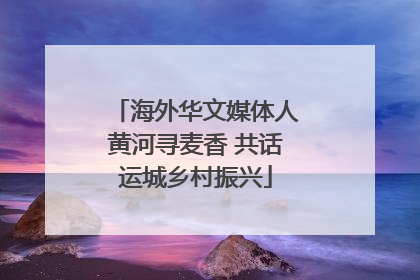 海外华文媒体人黄河寻麦香 共话运城乡村振兴