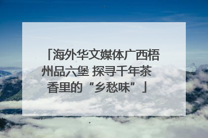 海外华文媒体广西梧州品六堡 探寻千年茶香里的“乡愁味”