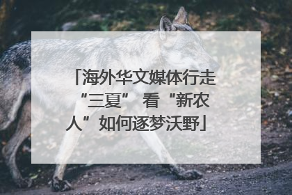 海外华文媒体行走“三夏” 看“新农人”如何逐梦沃野