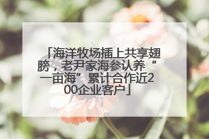 海洋牧场插上共享翅膀，老尹家海参认养“一亩海”累计合作近200企业客户