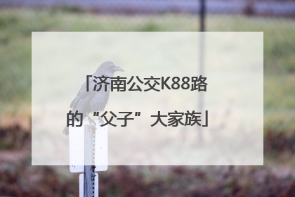 济南公交K88路的“父子”大家族