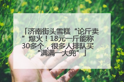 济南街头雪糕“论斤卖”爆火！18元一斤能称30多个，很多人排队买“满满一大兜”