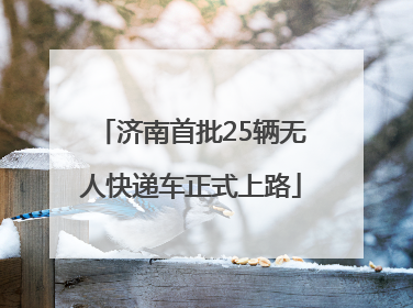 济南首批25辆无人快递车正式上路